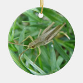 Grasshopper aangepaste verjaardag keramisch ornament (Voorkant)