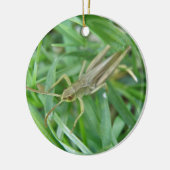 Grasshopper aangepaste verjaardag keramisch ornament (Links)