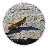 Grasshopper along a grey rock keramische knop (Voorkant)