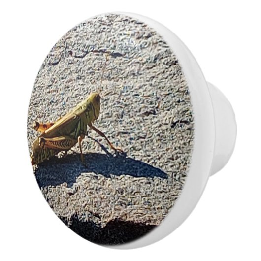 Grasshopper along a grey rock keramische knop (Rechts)