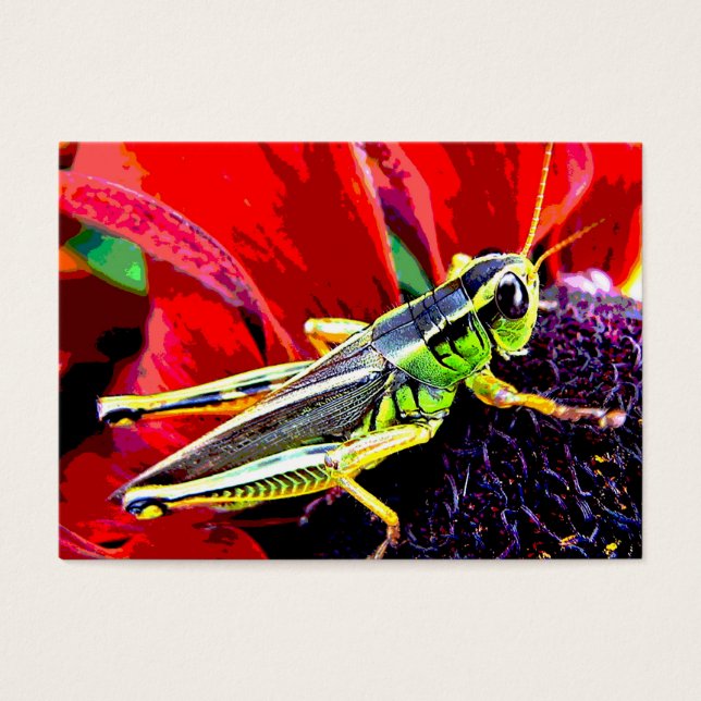 Grasshopper ATC Visitekaartjes (Voorkant)
