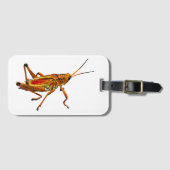 Grasshopper Bagagelabel (Voorkant (horizontaal))