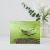 Grasshopper Briefkaart (Staand voorkant)