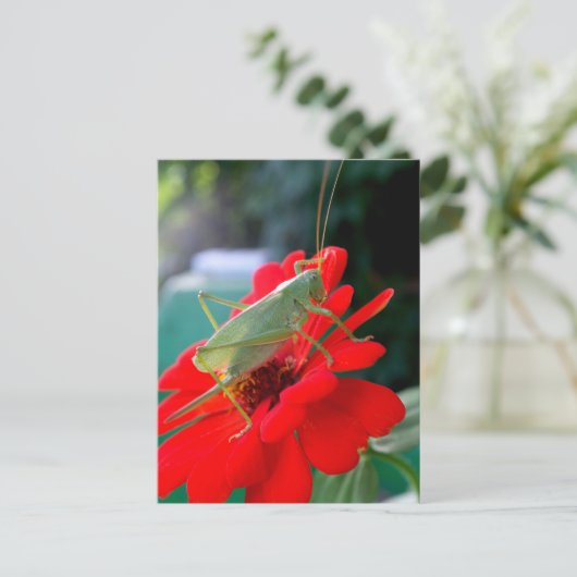 Grasshopper Briefkaart (Staand voorkant)