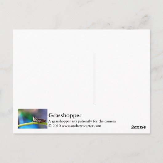 Grasshopper Briefkaart (Achterkant)