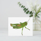 Grasshopper Briefkaart (Staand voorkant)