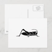 Grasshopper Briefkaart (Voorkant / Achterkant)