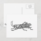 Grasshopper Briefkaart (Voorkant / Achterkant)