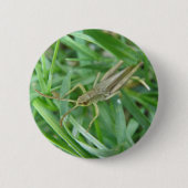 Grasshopper Button (Voorkant)