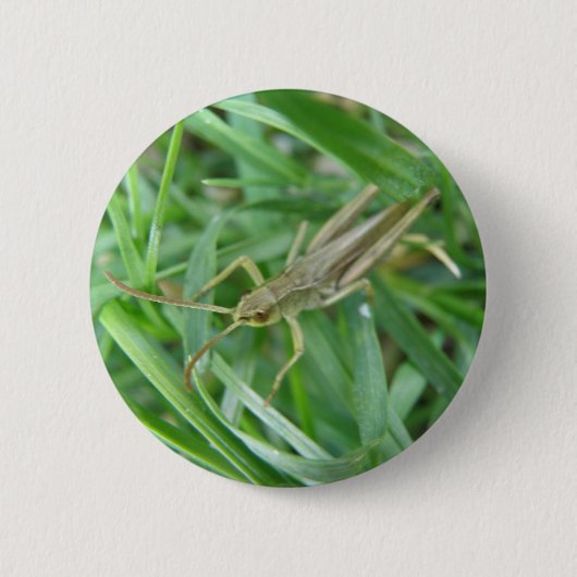 Grasshopper Button (Voorkant)