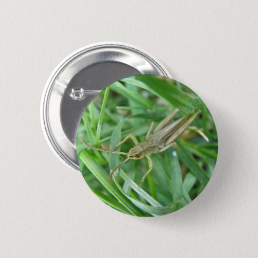 Grasshopper Button (Voorkant /achterkant)