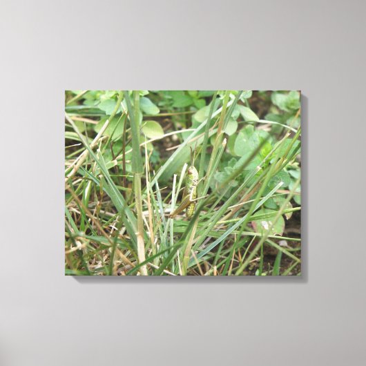 Grasshopper Camouflage Canvas Afdrukken (Voorkant)