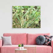Grasshopper Camouflage Canvas Afdrukken (Insitu (Woonkamer))