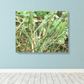 Grasshopper Camouflage Canvas Afdrukken (Insitu (Houten vloer))