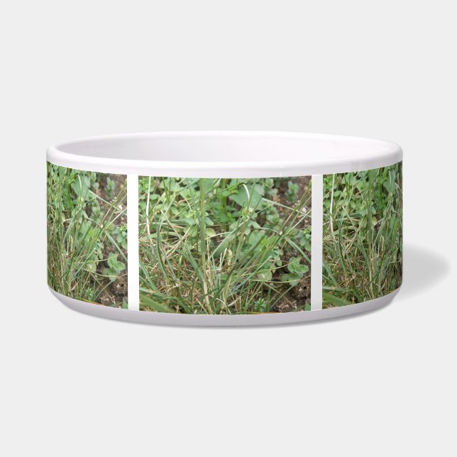 Grasshopper Camouflage Dog Bowl Voerbakje (Voorkant)