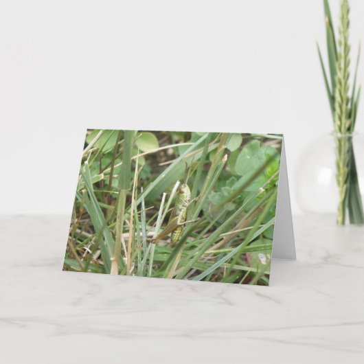Grasshopper Camouflage Greeting Card Kaart (Voorkant)