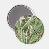 Grasshopper Camouflage Magnet (Voorkant / Achterkant)