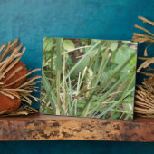 Grasshopper Camouflage Plaque Fotoplaat (Zijkant)