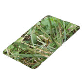 Grasshopper Camouflage Premium Magnet Magneet (Linkerzijde)