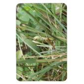 Grasshopper Camouflage Premium Magnet Magneet (Verticaal)