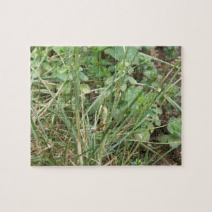 Grasshopper Camouflage Puzzle Legpuzzel