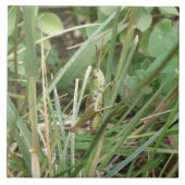 Grasshopper Camouflage Tile Tegeltje (Voorkant)
