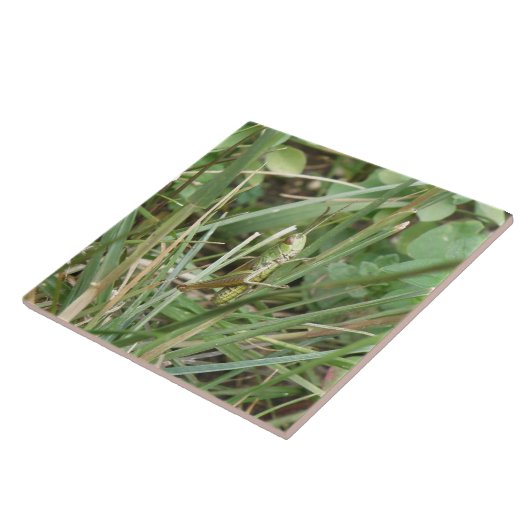 Grasshopper Camouflage Tile Tegeltje (Zijkant)