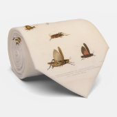  Grasshopper Diagram (1875) Stropdas (Opgerold)