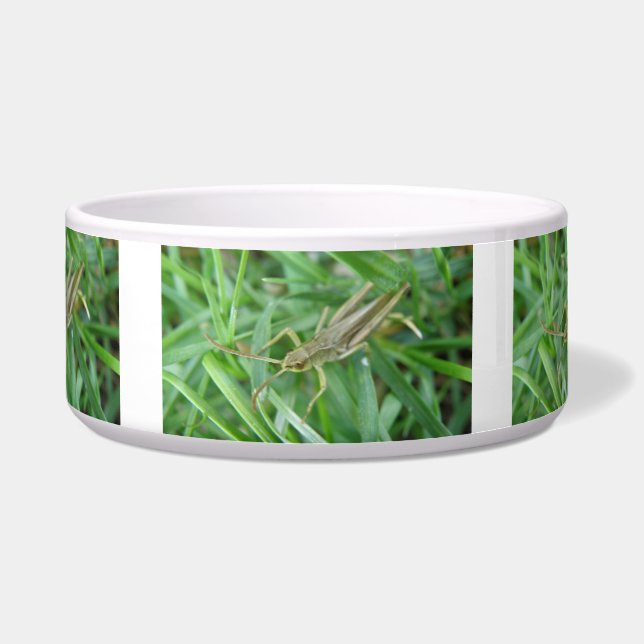 Grasshopper Dog Bowl Voerbakje (Voorkant)