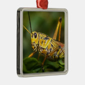Grasshopper, Everglades National Park, Florida, Metalen Ornament (Rechts)