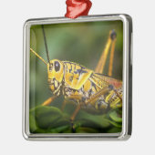 Grasshopper, Everglades National Park, Florida, Metalen Ornament (Links)