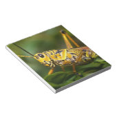 Grasshopper, Everglades National Park, Florida, Notitieblok (Schuin)