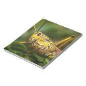 Grasshopper, Everglades National Park, Florida, Notitieblok (Linkerzijde)