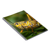 Grasshopper, Everglades National Park, Florida, Notitieboek (Rechterzijde)