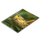 Grasshopper, Everglades National Park, Florida, Notitieboek (Linkerzijde)
