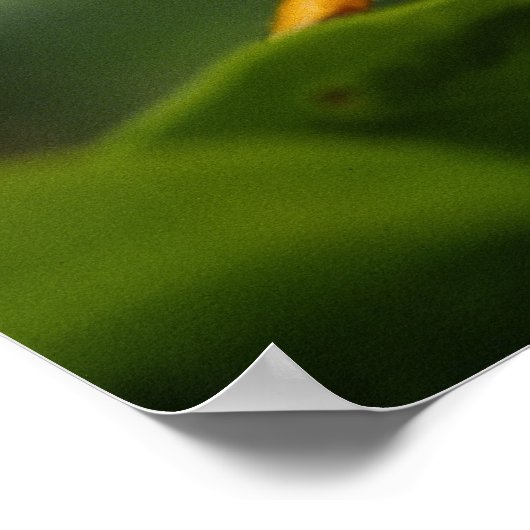 Grasshopper, Everglades National Park, Florida, Poster (Hoek)