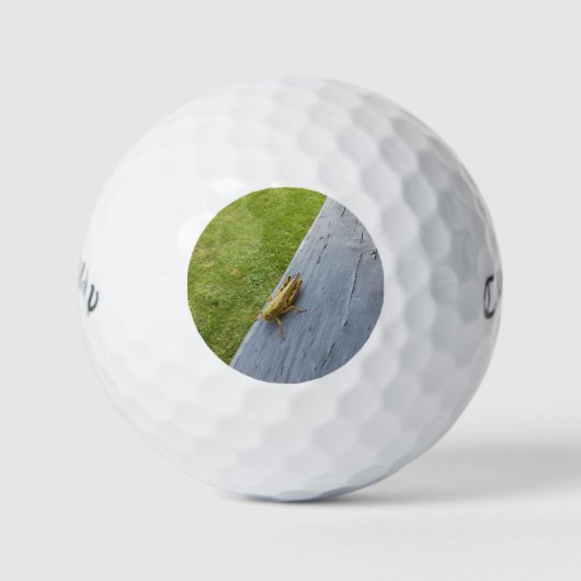 GrassHopper Golfballen (Voorkant)