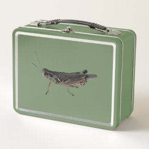 Grasshopper Insect Foto Lunchboxen