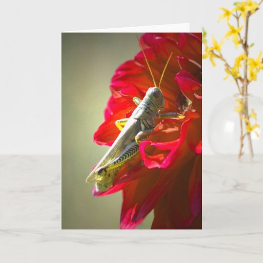 Grasshopper Kaart (Gele Bloem)