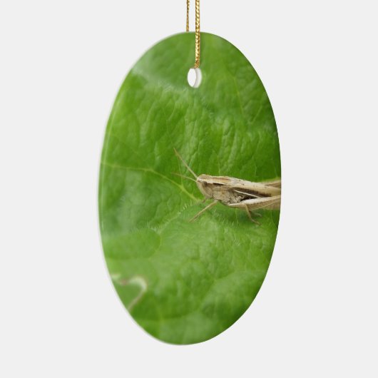 Grasshopper Keramisch Ornament (Rechts)