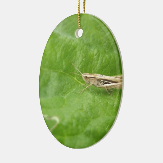 Grasshopper Keramisch Ornament (Links)