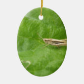 Grasshopper Keramisch Ornament (Voorkant)