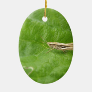 Grasshopper Keramisch Ornament