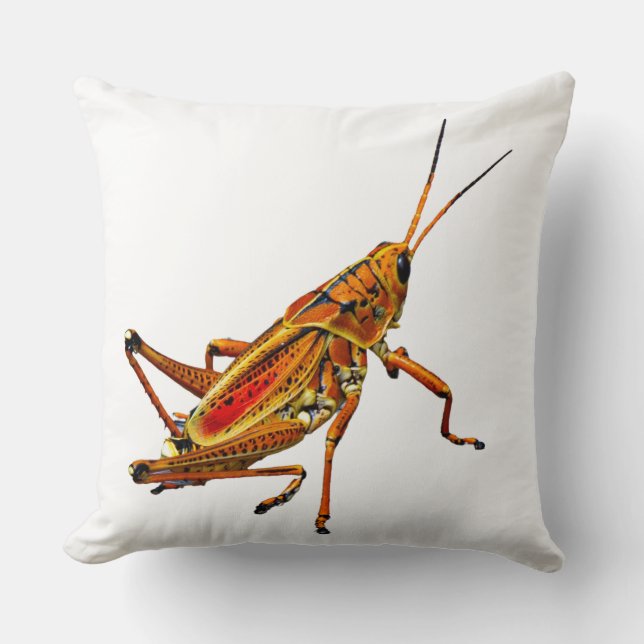 Grasshopper Kussen (Voorkant)
