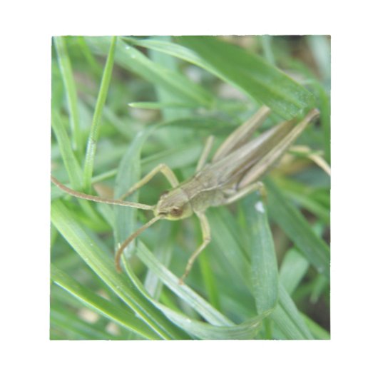 Grasshopper-laptop Notitieblok (Voorkant)
