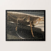 Grasshopper Legpuzzel (Horizontaal)