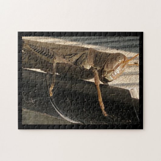 Grasshopper Legpuzzel (Horizontaal)