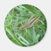 Grasshopper Magnet (Voorkant)