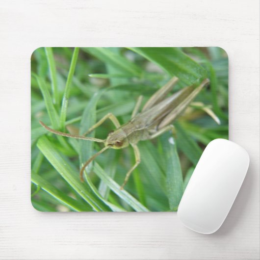 Grasshopper Mousepad Muismat (Met muis)