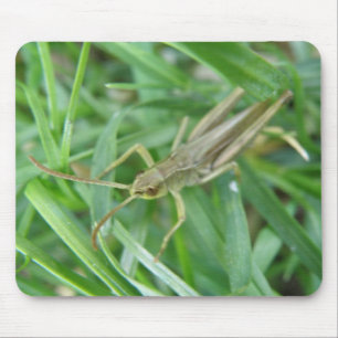 Grasshopper Mousepad Muismat